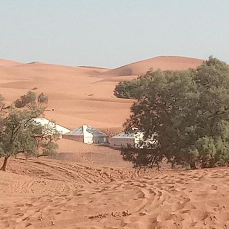 Bivouac Camel Trips Merzouga Exterior foto