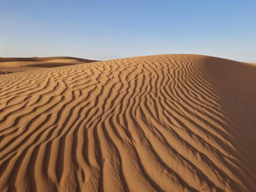 Bivouac Camel Trips Merzouga Exterior foto