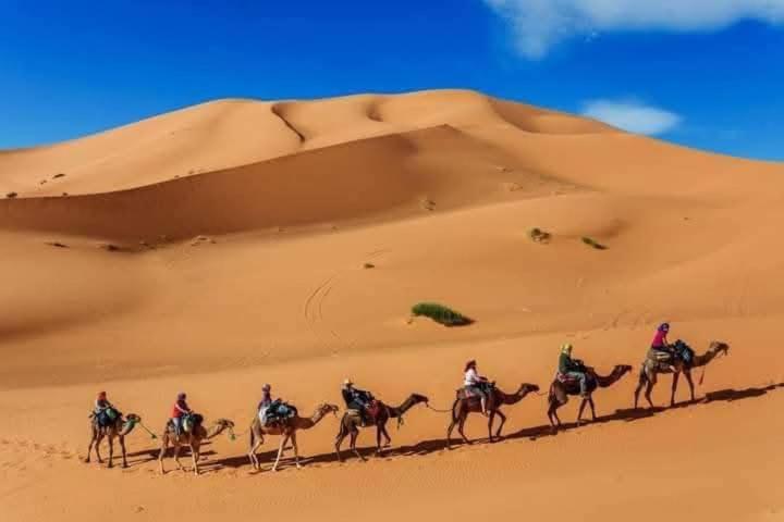 Bivouac Camel Trips Merzouga Exterior foto