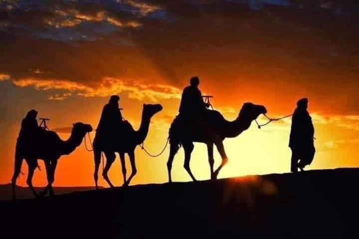 Bivouac Camel Trips Merzouga Exterior foto
