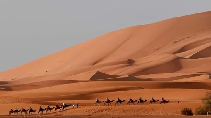 Bivouac Camel Trips Merzouga Exterior foto