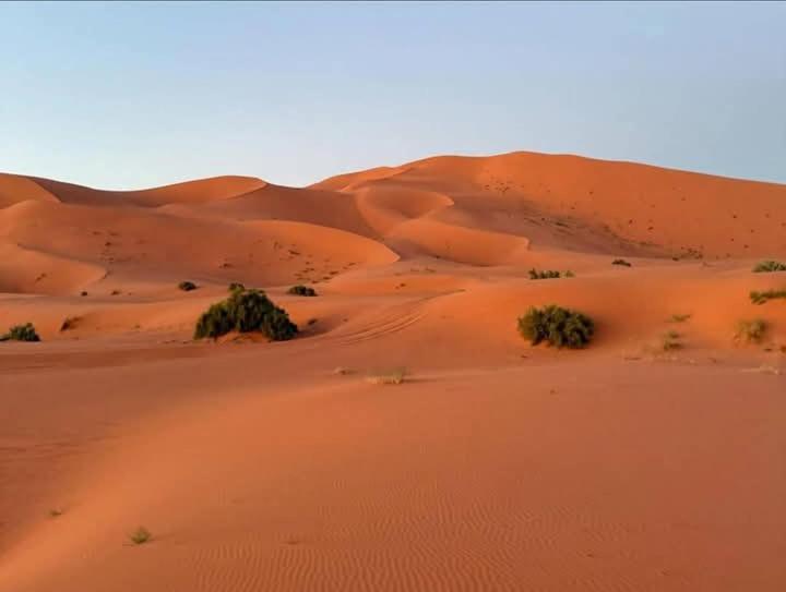 Bivouac Camel Trips Merzouga Exterior foto
