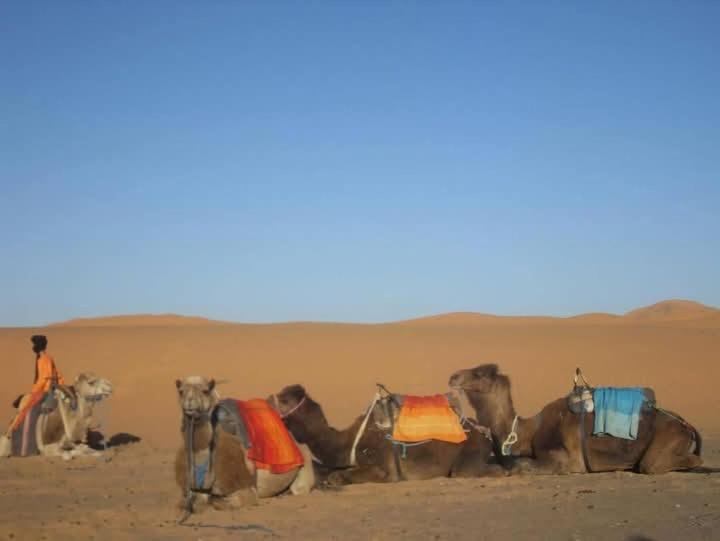 Bivouac Camel Trips Merzouga Exterior foto