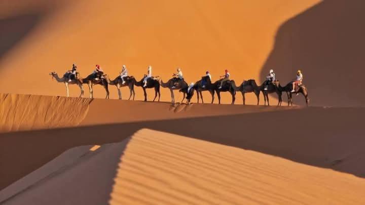 Bivouac Camel Trips Merzouga Exterior foto
