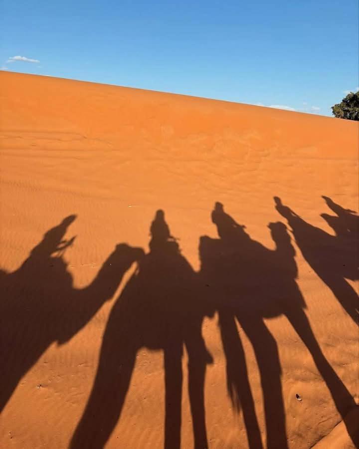 Bivouac Camel Trips Merzouga Exterior foto