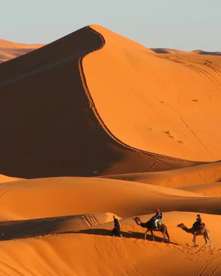 Bivouac Camel Trips Merzouga Exterior foto