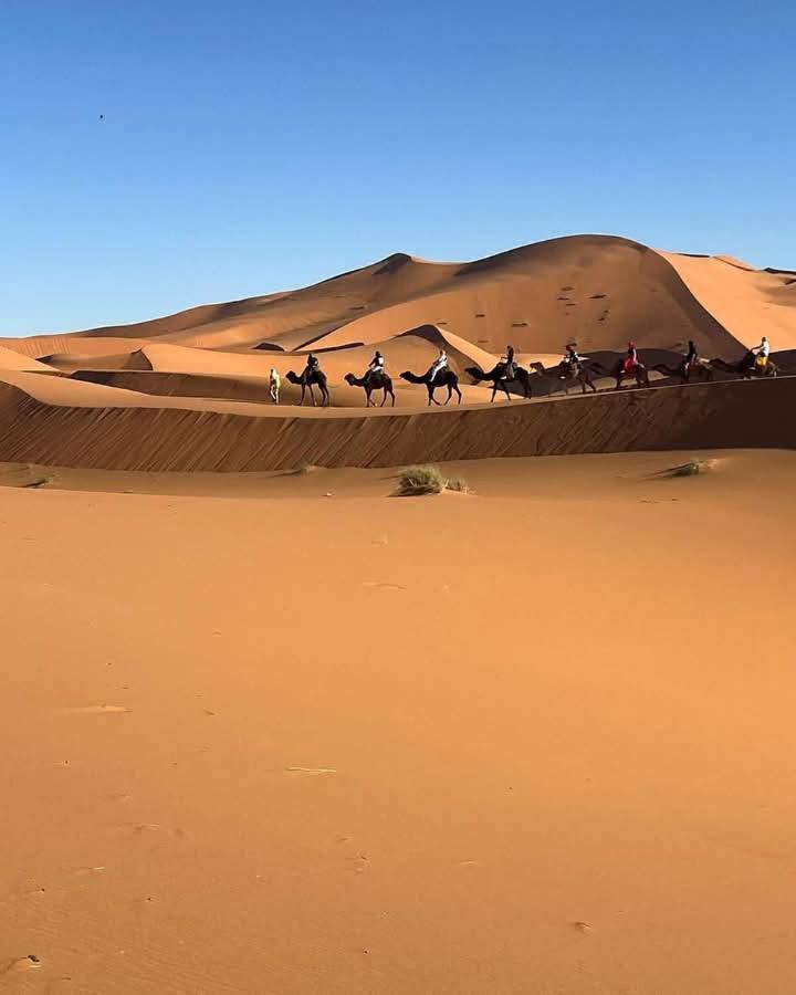 Bivouac Camel Trips Merzouga Exterior foto